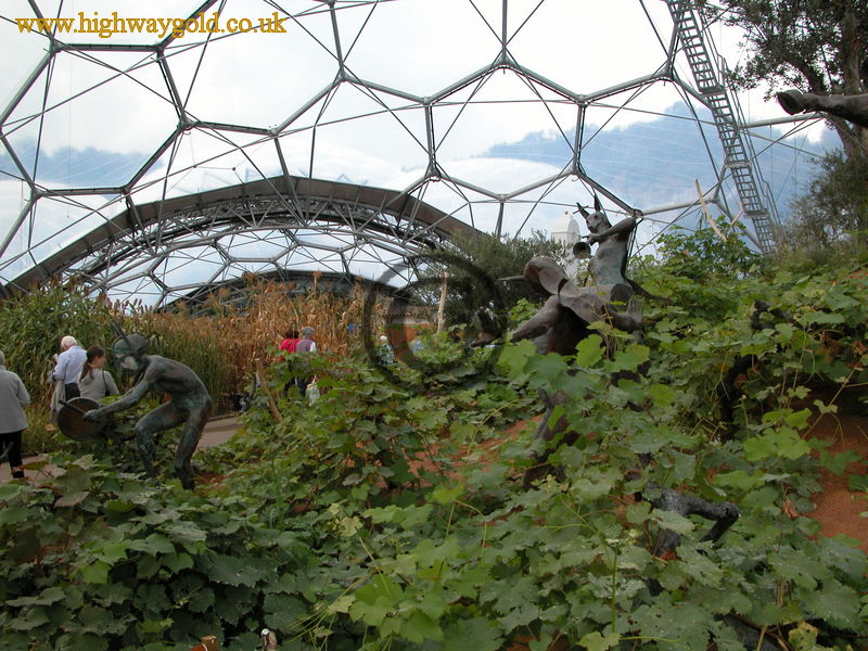 Warm Temperate Biome