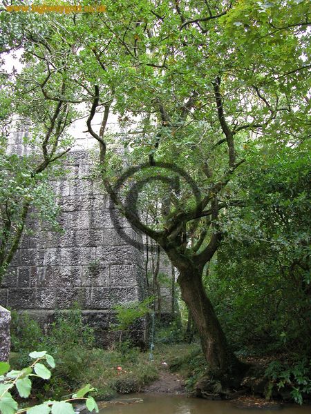 Treffry Viaduct
