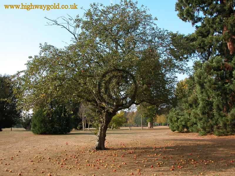 Wrest Park Gardens