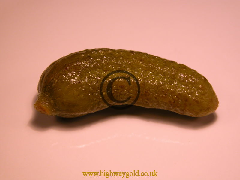 Pickled Gherkin