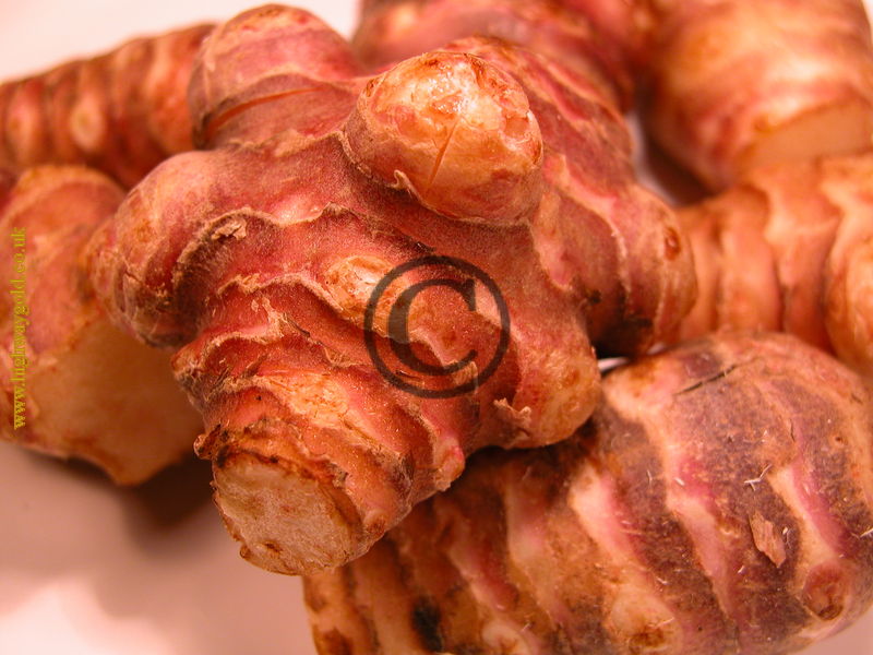 Jerusalem Artichokes