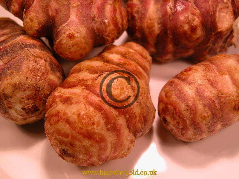 Jerusalem Artichokes