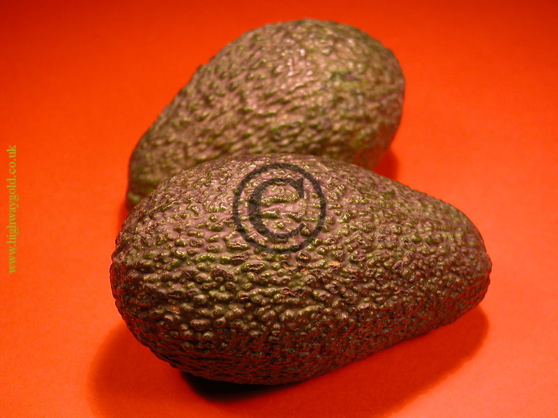 Avocados