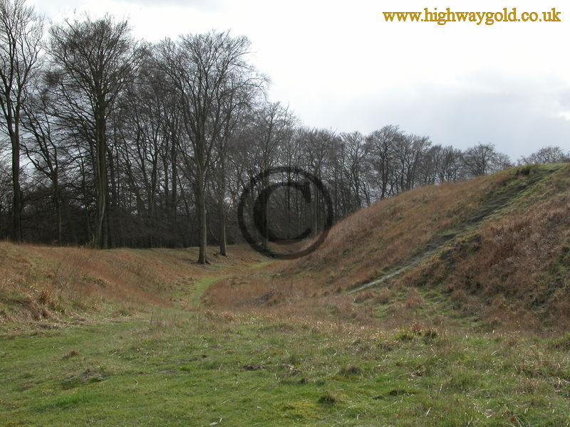 Danebury Hill Fort