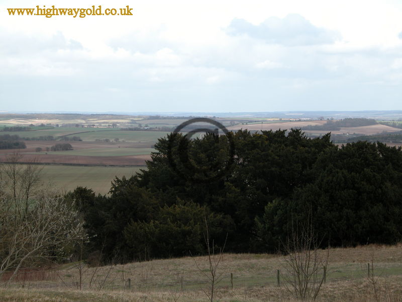 Danebury Hill Fort
