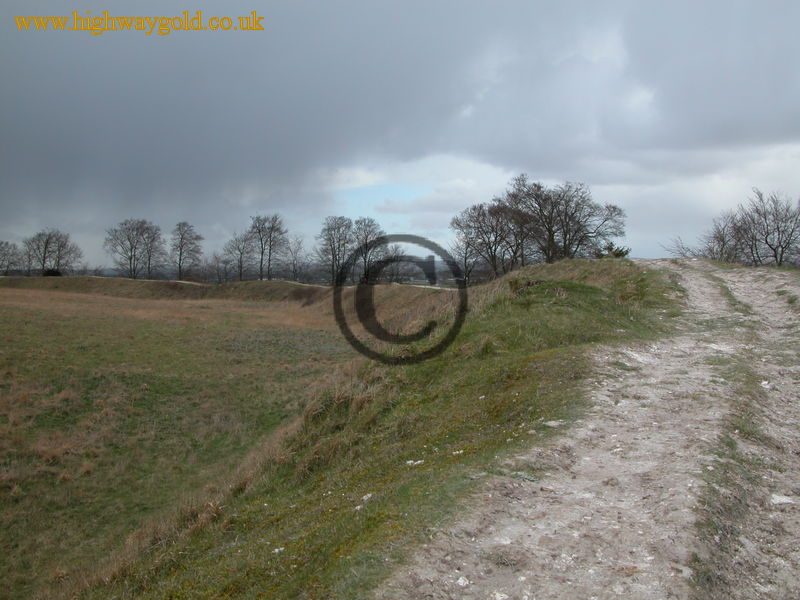 Danebury Hill Fort