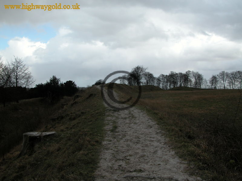 Danebury Hill Fort