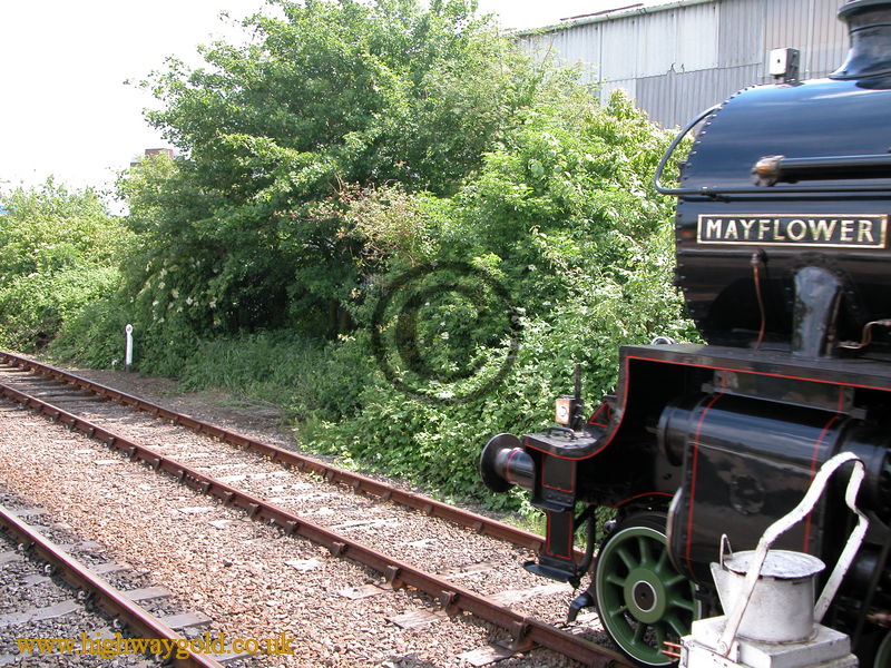 The Mayflower