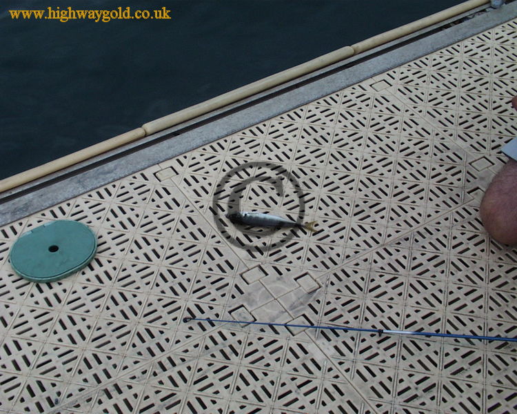 Fishing in the port at Cannes