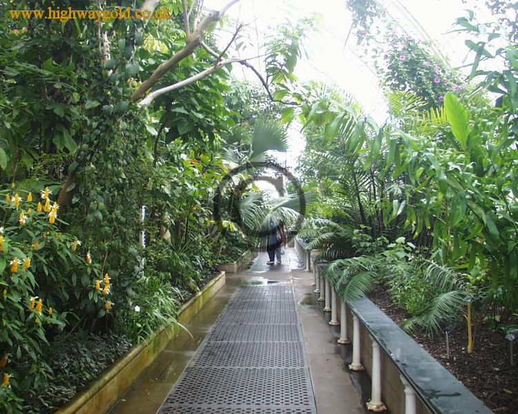 Kew Gardens