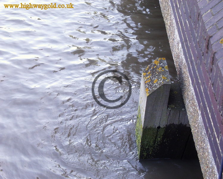 Waterline