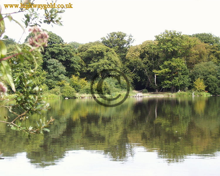 Hatfield Forest