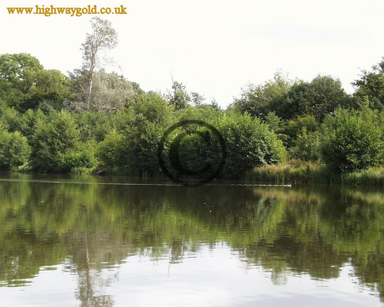 Hatfield Forest