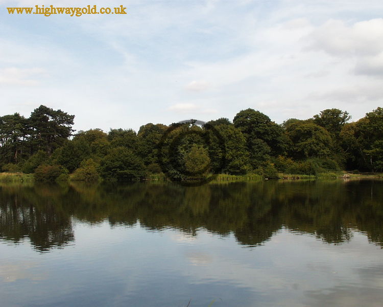 Hatfield Forest