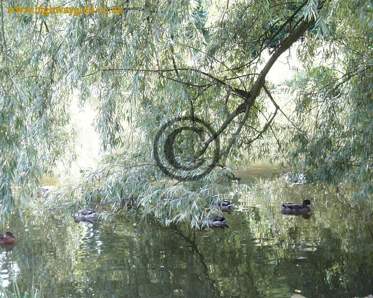 Hatfield Forest