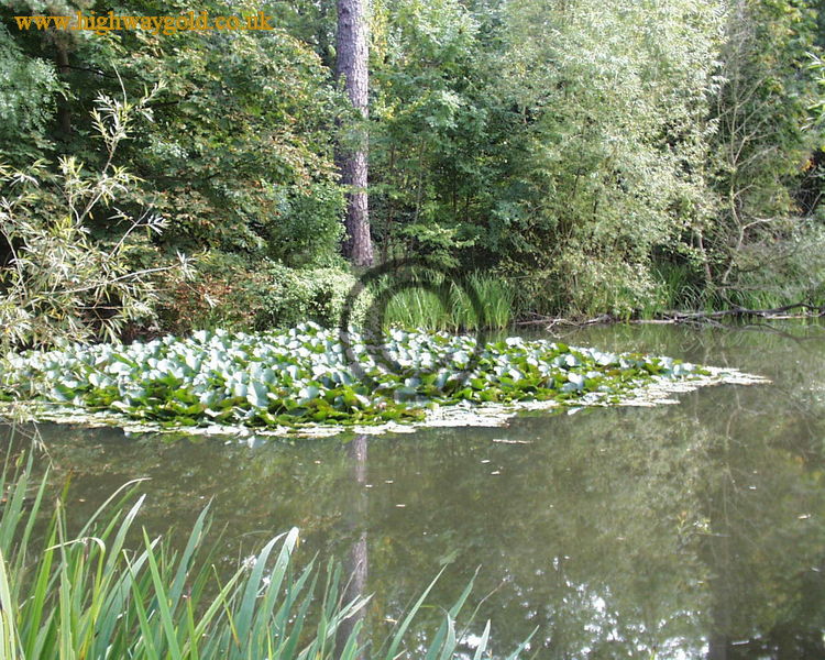 Hatfield Forest
