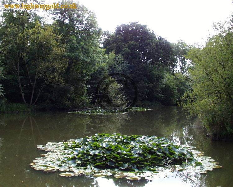 Hatfield Forest