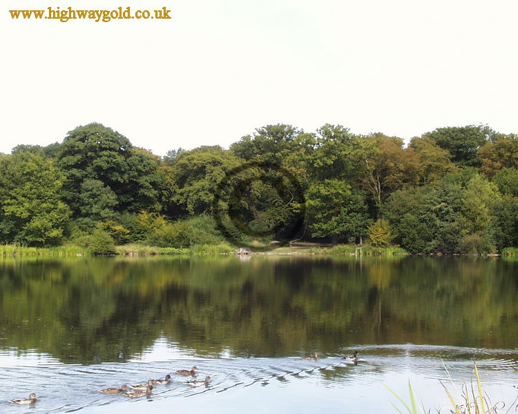 Hatfield Forest
