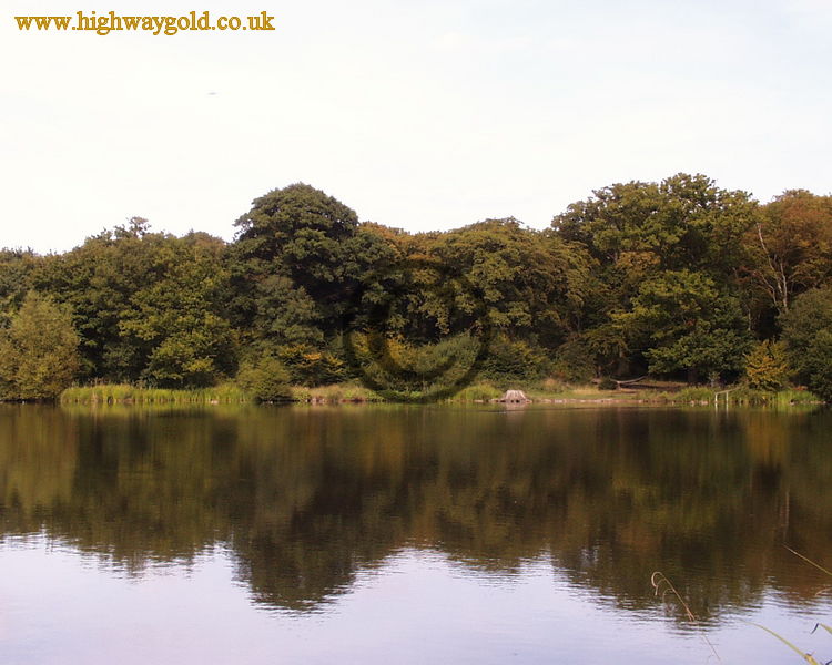 Hatfield Forest