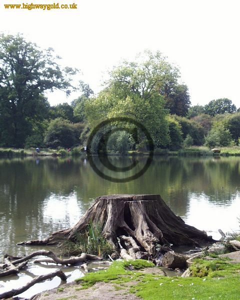 Hatfield Forest