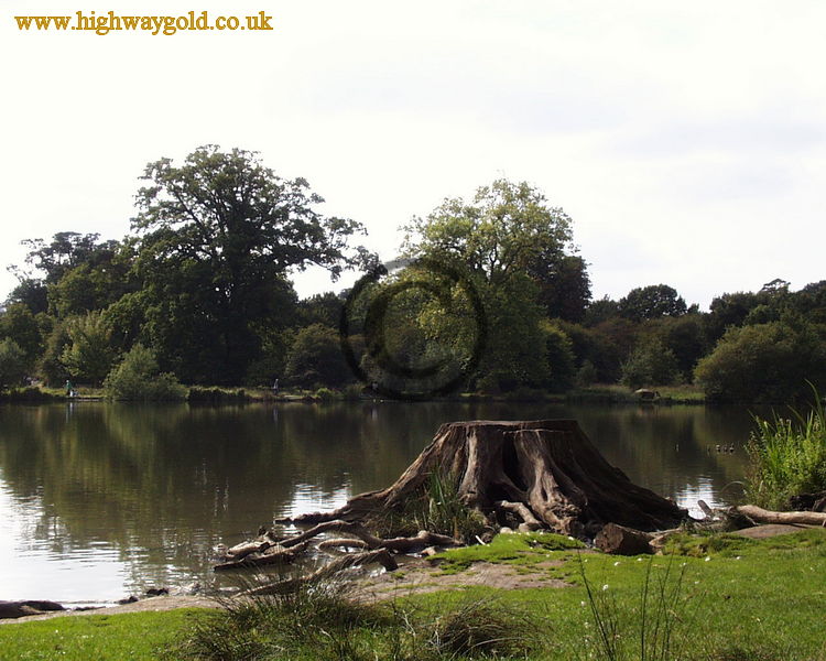 Hatfield Forest