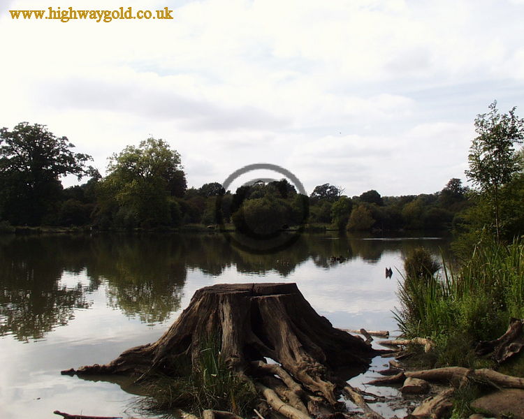 Hatfield Forest
