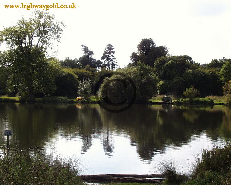 View across the lake