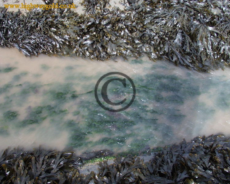 Stream flowing to the sea