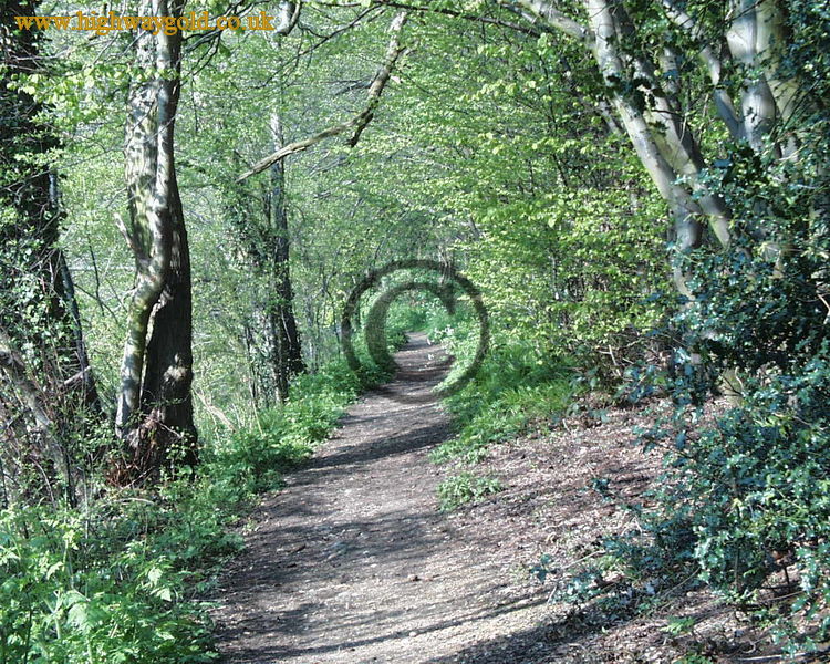 Woodland