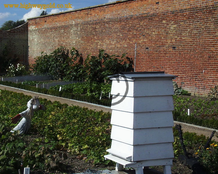 Bee hive