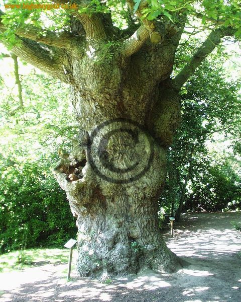 Fairhaven Water Garden