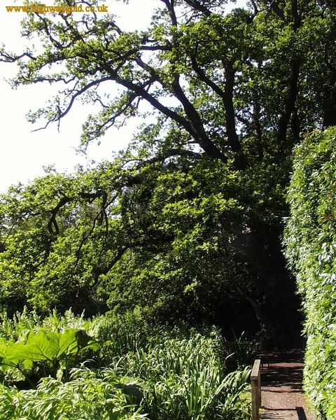 Fairhaven Water Garden
