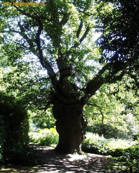 Fairhaven Water Garden