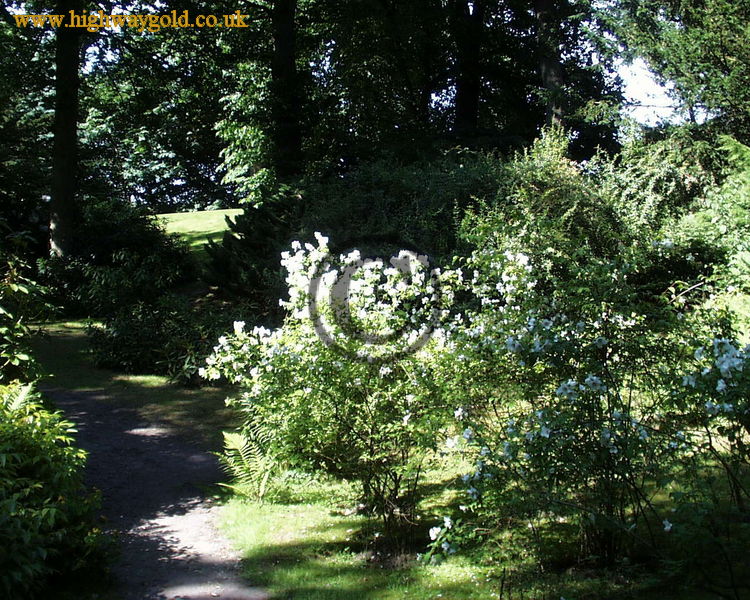 Fairhaven Water Garden