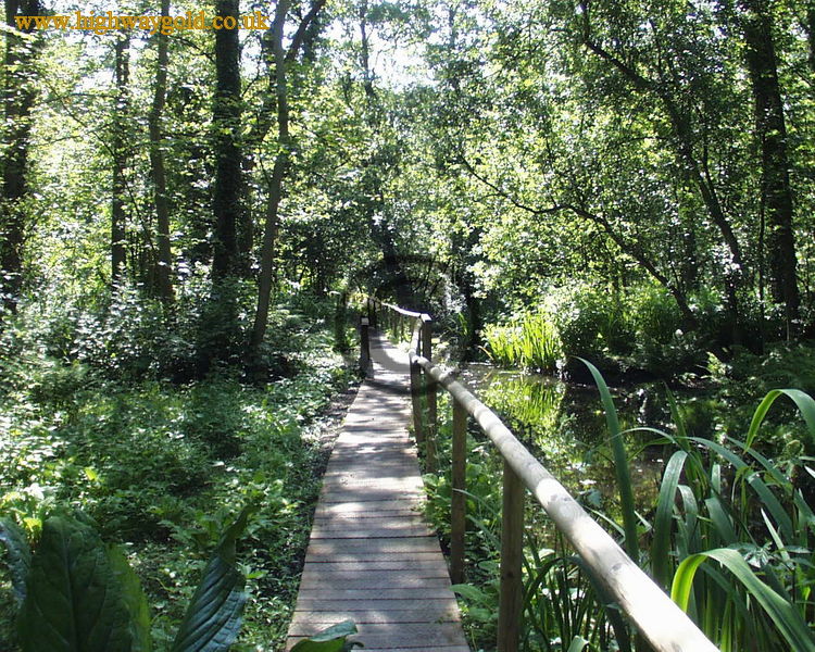 Fairhaven Water Garden