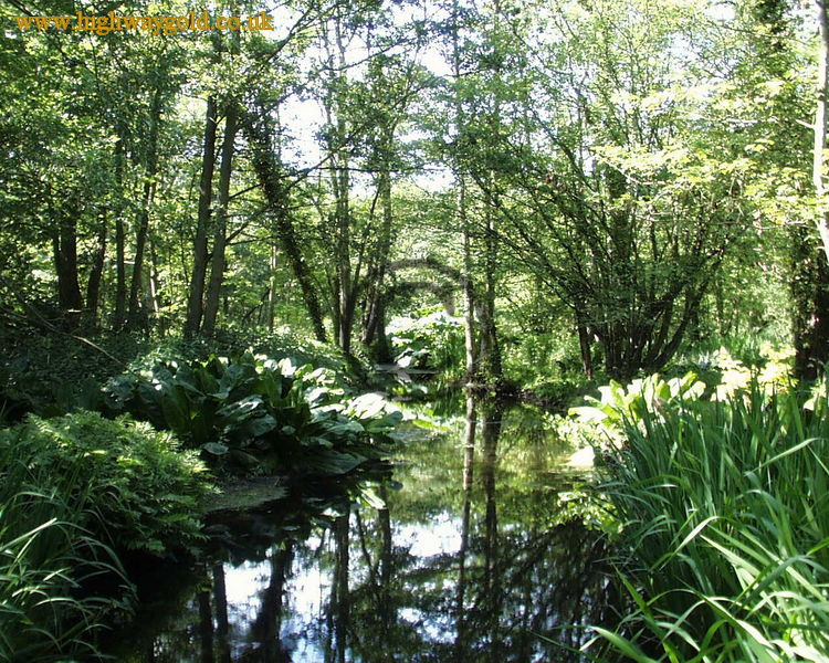 Fairhaven Water Garden