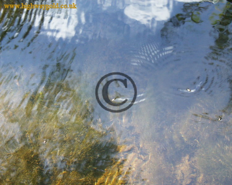 Fairhaven Water Garden