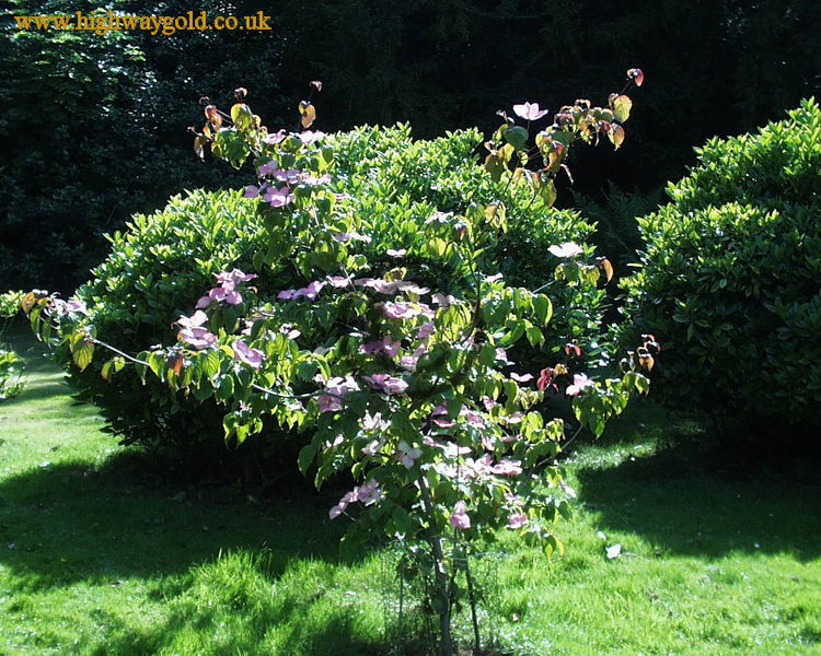 Fairhaven Water Garden