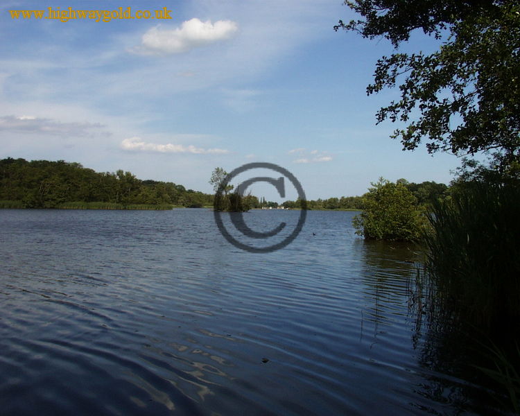 Fairhaven Water Garden
