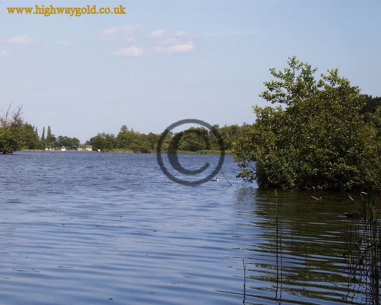 Fairhaven Water Garden