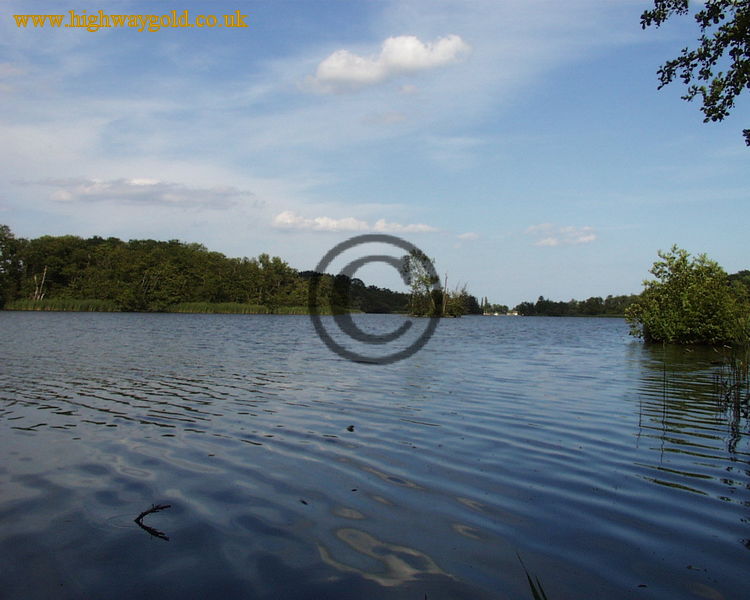 Fairhaven Water Garden