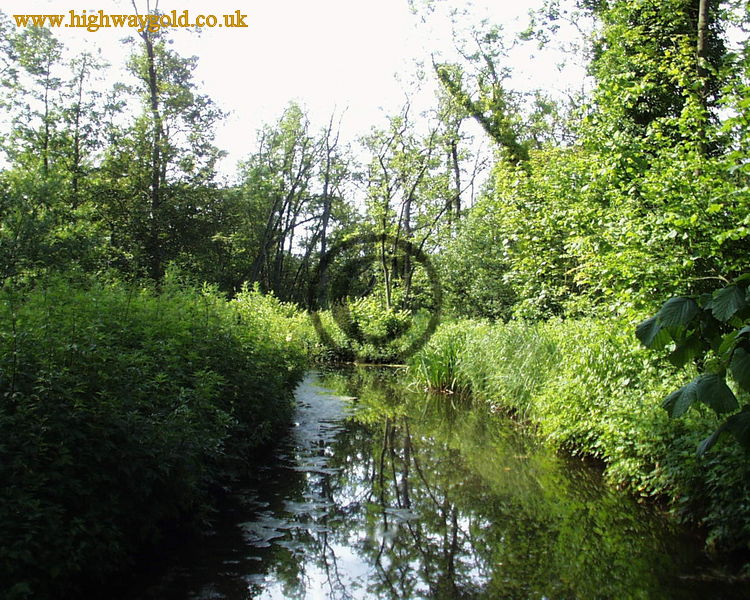 Fairhaven Water Garden