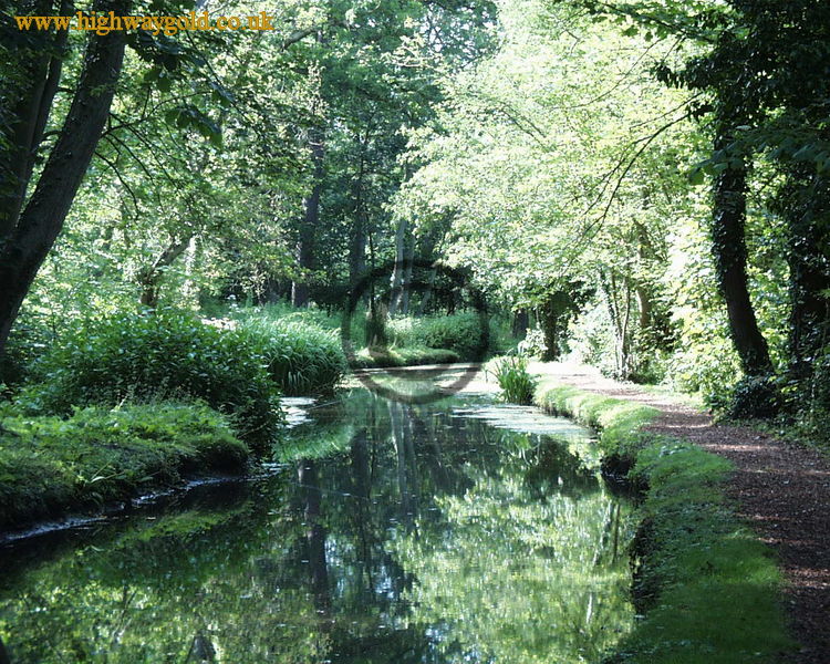 Fairhaven Water Garden