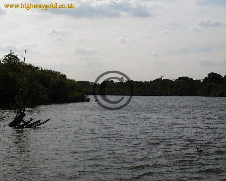 Fairhaven Water Garden