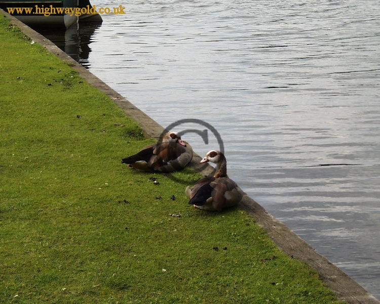 Fairhaven Water Garden