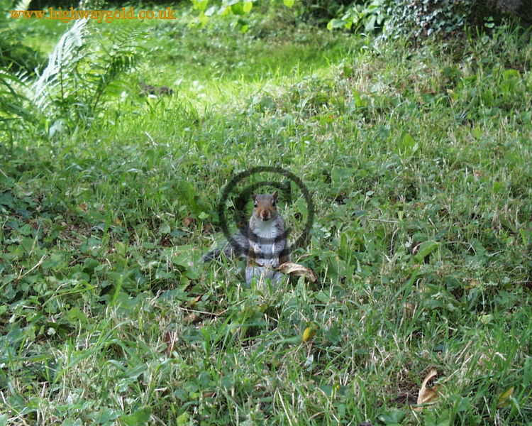 Fairhaven Water Garden
