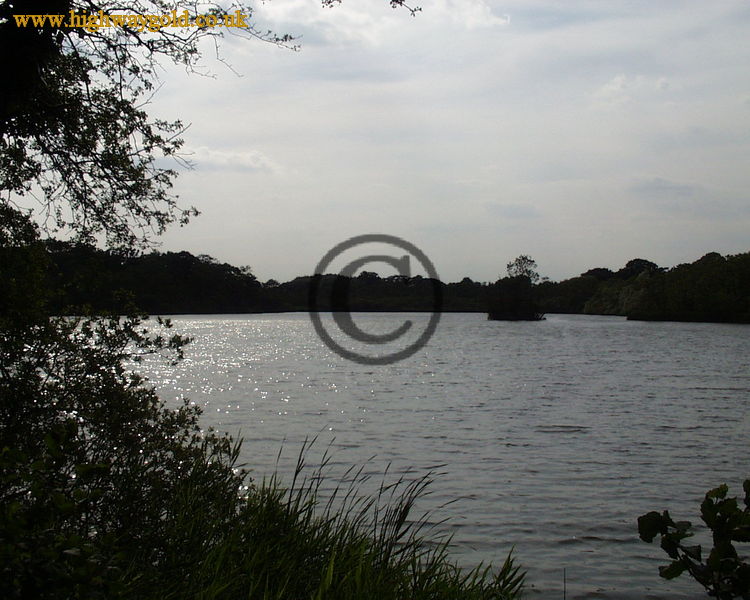 Fairhaven Water Garden