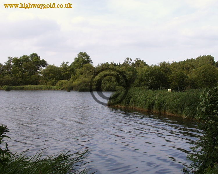 Fairhaven Water Garden