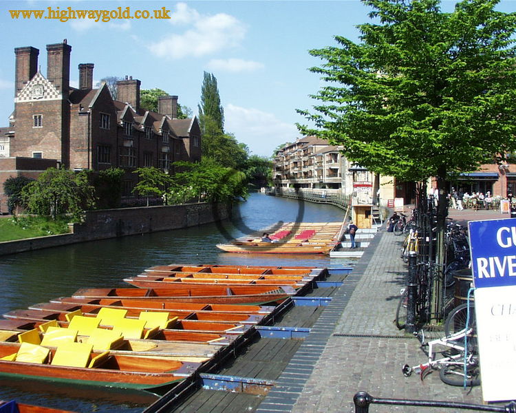 Punts lined up on river Cam