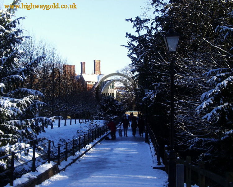 Snow Scene